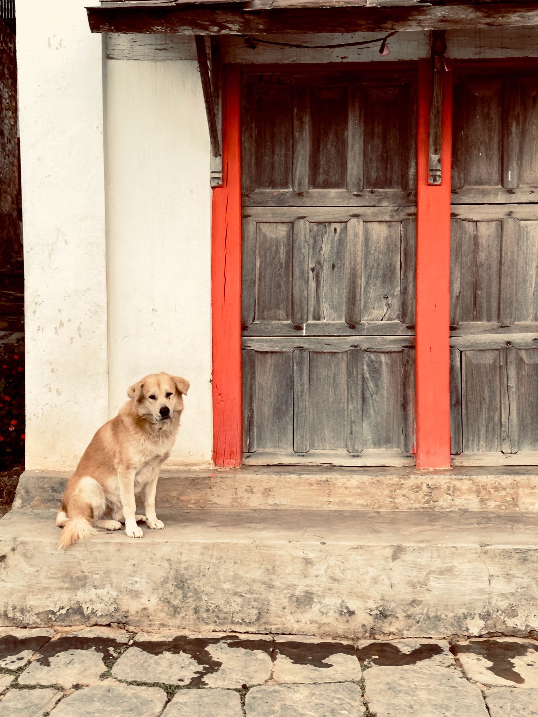 Nepal Doorway #25